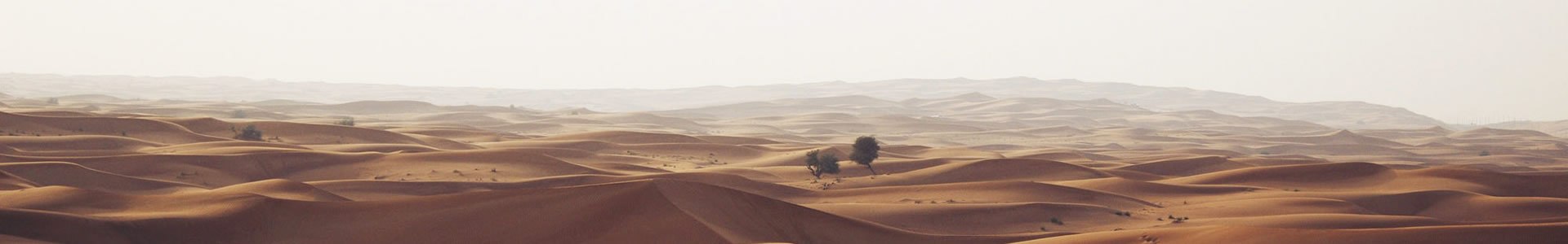İе豸޹˾